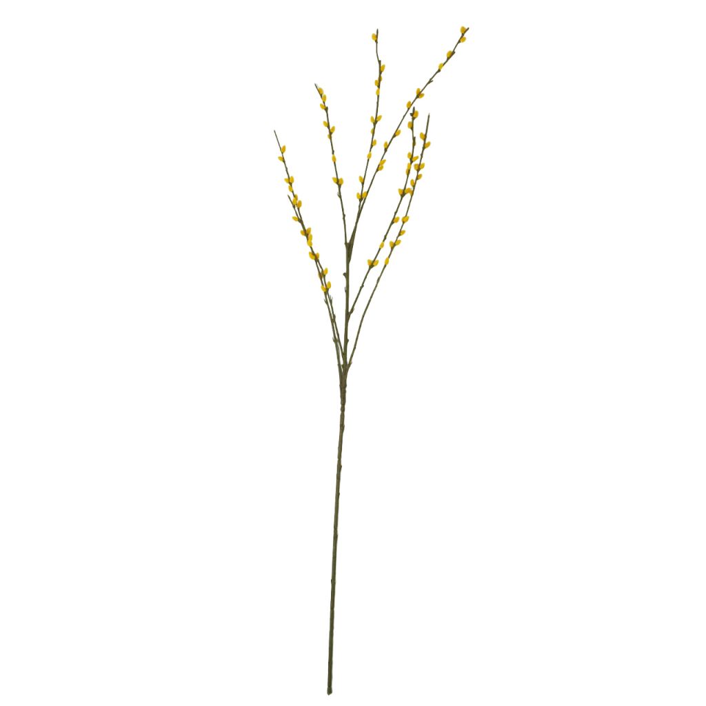 Верба ветка искусственная h81 см, желтый, FA23-38 Верба ветка искусственная h81 см, желтый, FA23-38