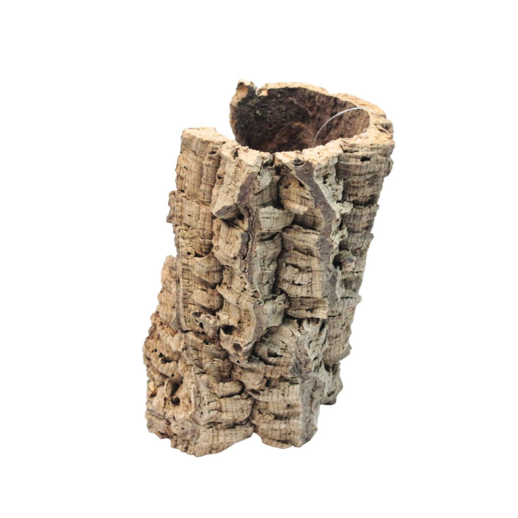 Кора пробкового дуба, с-1200 Кора пробкового дуба, с-1200