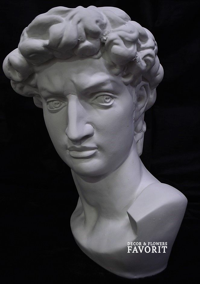 Гипсовая голова Давид большой, h42 см Гипсовая голова Давид большой, h42 см