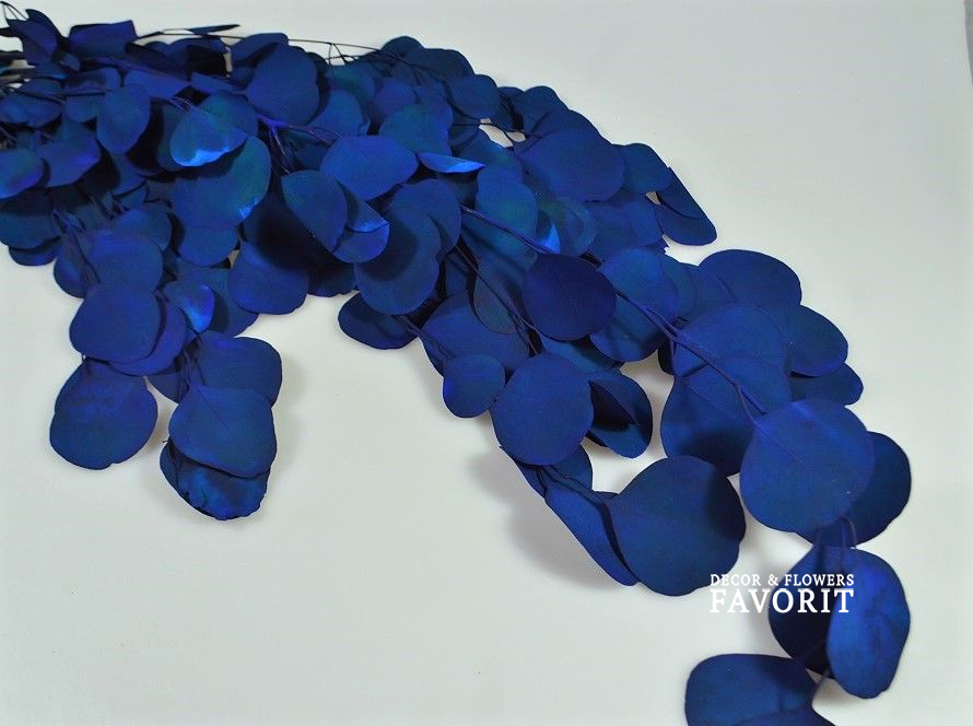 Стабилизированный Эвкалипт Популус, синий, W67-30 Стабилизированный Эвкалипт Популус, синий, W67-30