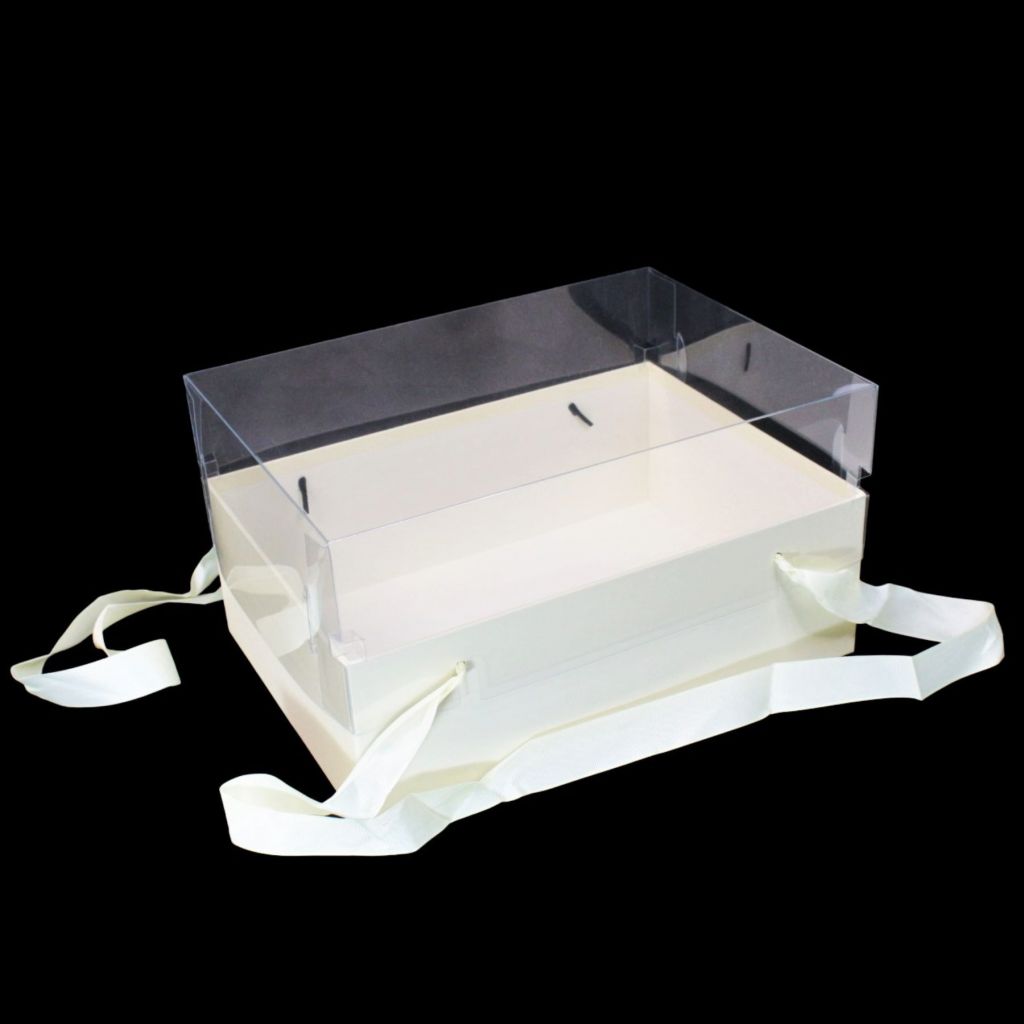 Коробка прямоугольная с прозрачной крышкой 31 х 23 х 17 см, Z25-2