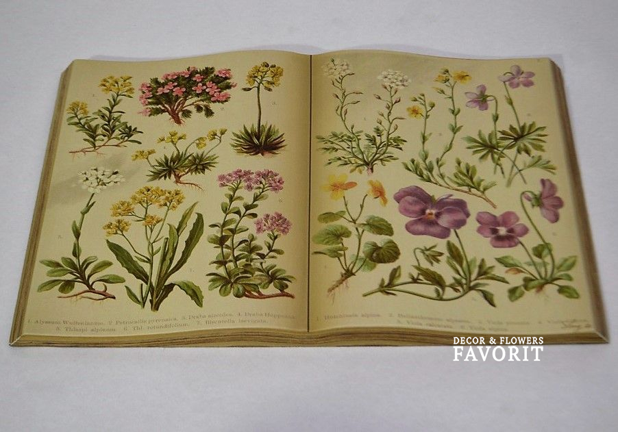 Картина Книга, кожзам, дизайн Флора, W105-4 Картина Книга, кожзам, дизайн Флора, W105-4