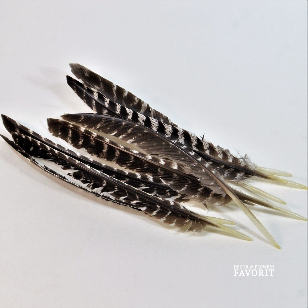 Перо фазана 28 см, 5 шт, М47-1 Перо фазана 28 см, 5 шт, М47-1