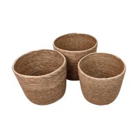 Корзина-кашпо круглая, набор из 3 шт, водоросли, натуральный, FA35-33/3 Корзина-кашпо круглая, набор из 3 шт, водоросли, натуральный, FA35-33/3