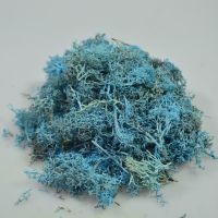 Мох стабилизированный в пакете 100 гр, голубой - вид 1 миниатюра