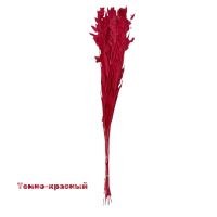 Сухоцвет Хасмантиум h65 см, FA38-12/44-11 - вид 8 миниатюра