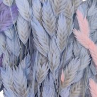 Сухоцвет Хасмантиум h65 см, FA38-12/44-11 - вид 5 миниатюра