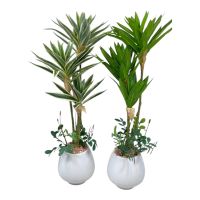 Юкка искусственная в керамическом кашпо h65 см, FA43-4 Юкка искусственная в керамическом кашпо h65 см, FA43-4