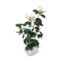 Магнолия искусственная в керамическом кашпо h60 см, FA43-11 Магнолия искусственная в керамическом кашпо h60 см, FA43-11