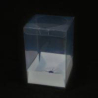 Коробка пластик с картонной вставкой 17 х 11 х 11 см, Р53-7 - вид 1 миниатюра
