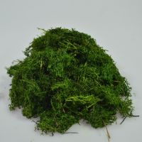 Мох стабилизированный в пакете 100 гр, зеленая трава - вид 1 миниатюра