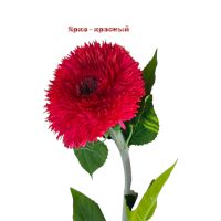 Подсолнух Медвежонок искусственный h95 см, FA51-12/42-4 - вид 3 миниатюра