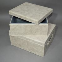 Коробка интерьерная прямоугольная Рептилия, набор из 2 шт, W20-3 - вид 1 миниатюра
