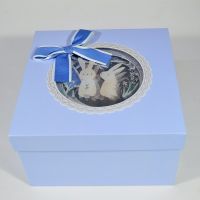Коробка квадратная с прозрачной крышкой Кролики, набор из 3 шт, голубой, W92-5 - вид 1 миниатюра