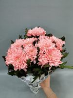 Хризантема одноголовая крашенная 10 шт - вид 1 миниатюра