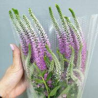 Вероника Италия - вид 1 миниатюра