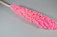 Сухоцвет Сорго 55-60 см, розовый, W67-4 - вид 1 миниатюра