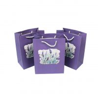 Сумка бумажная 23 х 18 х 10 см, Картина, 12 шт, Z36-101 Сумка бумажная 23 х 18 х 10 см, Картина, 12 шт, Z36-101