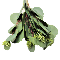 Эвкалипт Populus искусственный 46 см, 5 шт, зеленый, W86-10 - вид 1 миниатюра