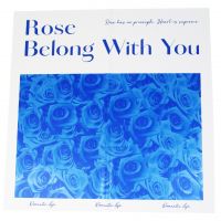 Пленка в листах матовая Роза для тебя, 58 х 58 см, 20 шт, Z29-15 - вид 1 миниатюра