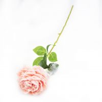 Искусственный цветок Роза со снегом, 60 см, W35-28 - вид 2 миниатюра