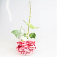 Искусственный цветок Роза со снегом, 60 см, W35-28 - вид 4 миниатюра