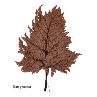 Стабилизированный Папоротник 10 шт, FA38-18/44-6 - вид 4 миниатюра