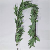 Эвкалипт Buplerum с ягодами искусственный 160 см, зеленый, W86-1 - вид 2 миниатюра