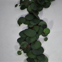 Эвкалипт Populus искусственный 160 см, зеленый, W86-1 - вид 4 миниатюра