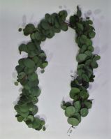 Эвкалипт Populus искусственный 160 см, зеленый, W86-1 - вид 1 миниатюра