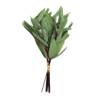 Эвкалипт Buplerum искусственный 34 см, 8 шт, зеленый, W86-8 - вид 1 миниатюра