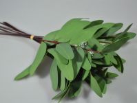 Эвкалипт Buplerum искусственный 34 см, 8 шт, зеленый, W86-8 - вид 1 миниатюра