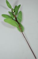 Эвкалипт Buplerum искусственный 34 см, 8 шт, зеленый, W86-8 - вид 3 миниатюра