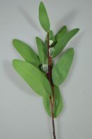 Эвкалипт Buplerum искусственный 34 см, 8 шт, зеленый, W86-8 - вид 2 миниатюра