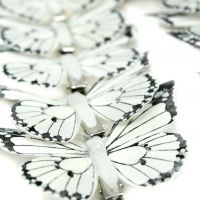 Бабочки на прищепках 12 см, 12 шт - вид 1 миниатюра