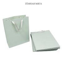 Сумка бумажная 40 х 31 х 12 см, Однотонная коллекция с тиснением, 12 шт, FA1-10 Сумка бумажная 40 х 31 х 12 см, Однотонная коллекция с тиснением, 12 шт, FA1-10