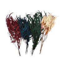 Стабилизированный Эвкалипт Николи h75 см, FA38-6 Стабилизированный Эвкалипт Николи h75 см, FA38-6