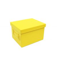 Коробка-органайзер с крышкой, 30 х 25 х 19 см, экокожа, желтый, Z8-8 - вид 1 миниатюра