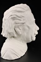 Гипсовая голова-кашпо Альберт Эйнштейн, h22,5 см - вид 2 миниатюра