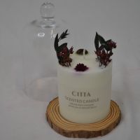 Свеча со стеклянной колбой, W112-17 Свеча со стеклянной колбой, W112-17