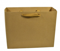 Сумка крафт горизонтальная 19.5 х 24.5 х 9.5 см, 12 шт, Z36-113 Сумка крафт горизонтальная 19.5 х 24.5 х 9.5 см, 12 шт, Z36-113