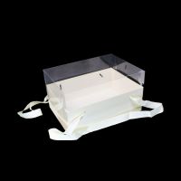 Коробка прямоугольная с прозрачной крышкой 29 х 21 х 16 см, Z25-2 - вид 1 миниатюра