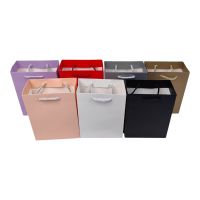 Сумка бумажная 24 х 18 х 8 см, Однотонная коллекция, 12 шт, FA28-126 Сумка бумажная 24 х 18 х 8 см, Однотонная коллекция, 12 шт, FA28-126