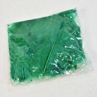 Перо декоративное h13 см, зеленый - вид 1 миниатюра