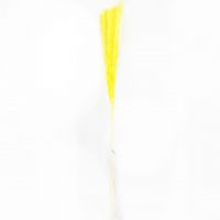 Сухоцвет Камыш h70 см, W67-34 - вид 1 миниатюра