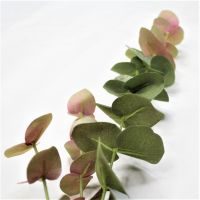 Эвкалипт Cinerea искусственный 79 см, W86-13 - вид 1 миниатюра