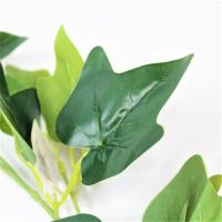 Лиана Хедеры искусственная 195 см, зеленый, W86-17 - вид 1 миниатюра