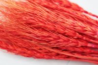 Сухоцвет Пшеница 50 гр, красно-коралловый, W67-3 - вид 1 миниатюра