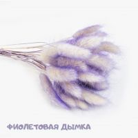 Сухоцвет Лагурус (Заячий Хвост) 20 гр, М97-1/2/W67-1/2 - вид 21 миниатюра