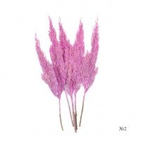 Сухоцвет Кониферен крашеный микс h60 см, 5 шт - вид 1 миниатюра
